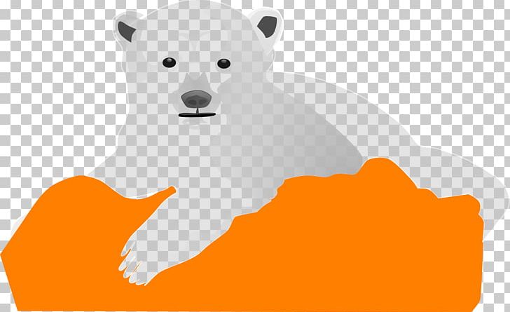 Baby Polar Bear Giant Panda Brown Bear PNG, Clipart, Animals, Baby Polar Bear, Bear, Brown Bear, Carnivoran Free PNG Download