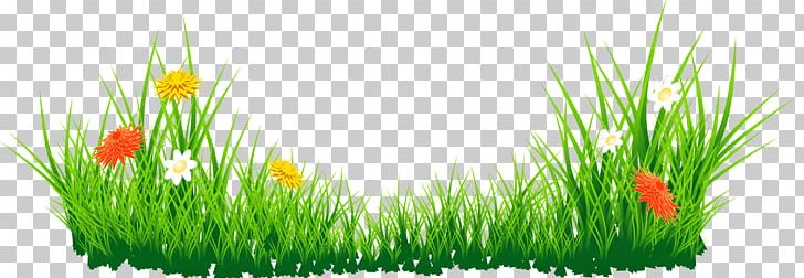 Easter Bunny Easter Egg PNG, Clipart, Christmas, Commodity, Computer Wallpaper, Easter, Easter Bunny Free PNG Download