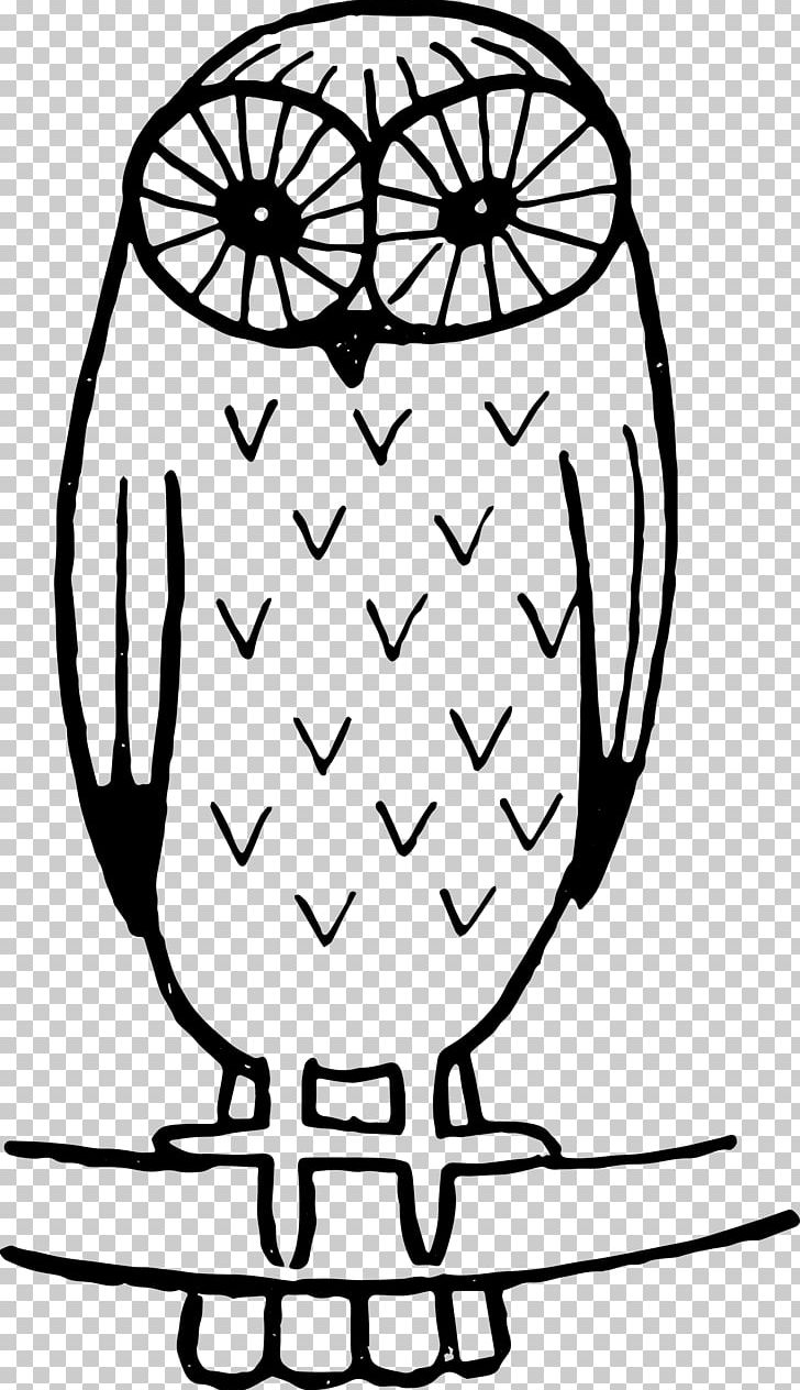 Black And White Owl Png Clipart Animals Art Artwork