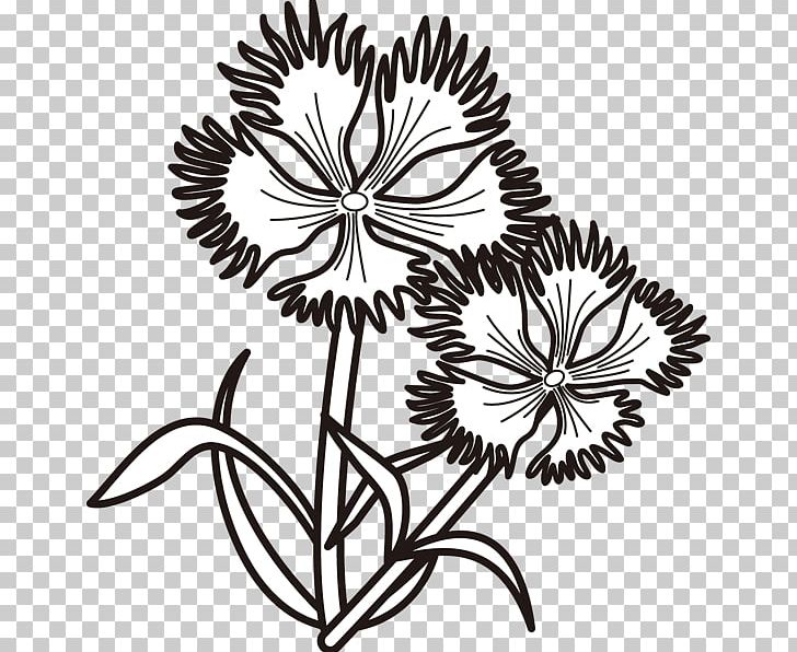 Floral Design Pink Monochrome Painting PNG, Clipart, Art, Artwork, Black And White, Color, Cut Flowers Free PNG Download
