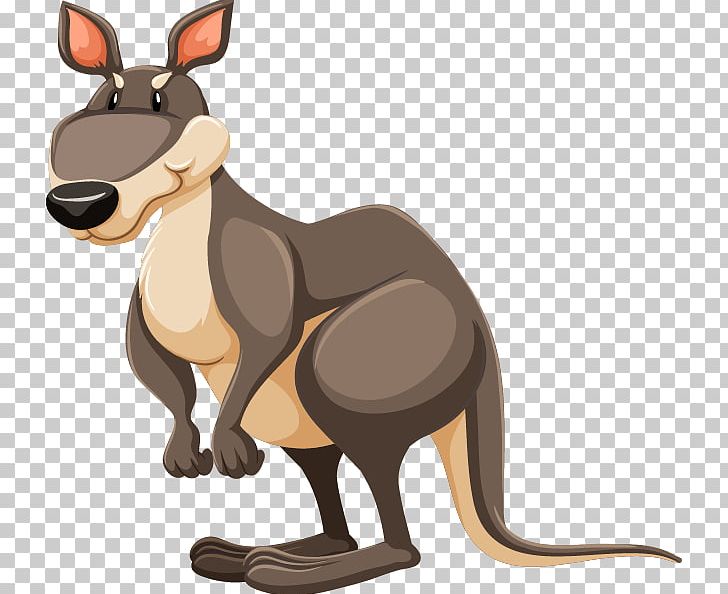 Kangaroo Diagram PNG, Clipart, Animals, Carnivoran, Cartoon, Cartoon Character, Cartoon Eyes Free PNG Download