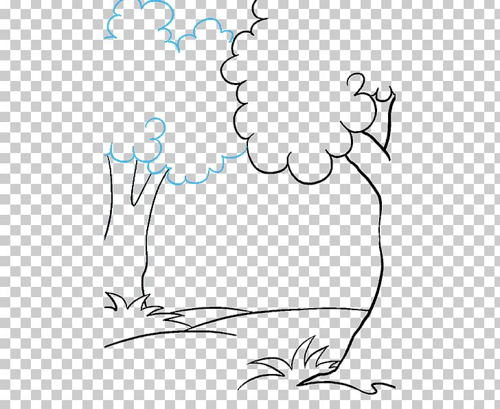 Line Art Drawing Cartoon How To Draw Trees Sketch PNG, Clipart, Art, Artwork, Beak, Black, Black And White Free PNG Download