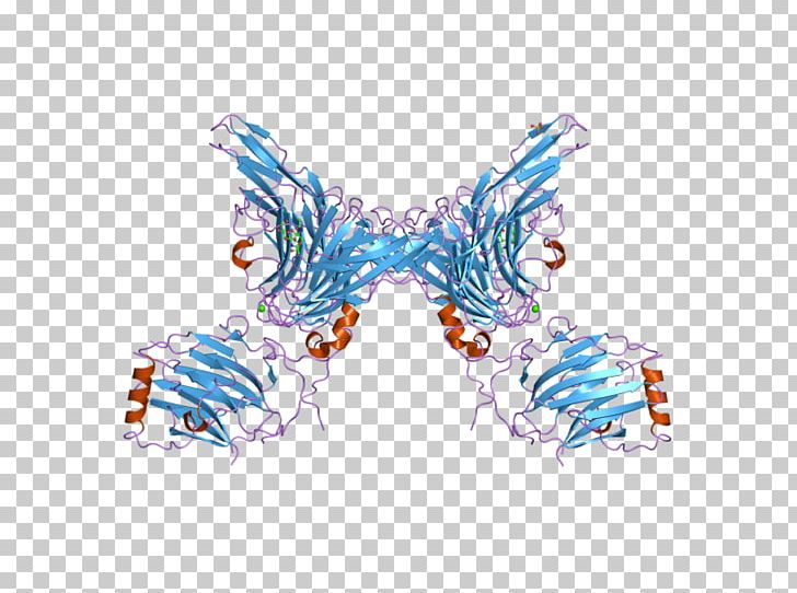 Butterfly GAS6 AXL Receptor Tyrosine Kinase PNG, Clipart, Axl Receptor Tyrosine Kinase, Blue, Butterfly, Cyclindependent Kinase 9, Enzyme Free PNG Download