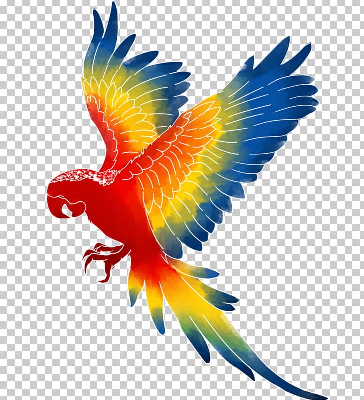 Parrot Bird Macaw PNG, Clipart, Animals, Beak, Bird, Cartoon, Clip Art Free PNG Download