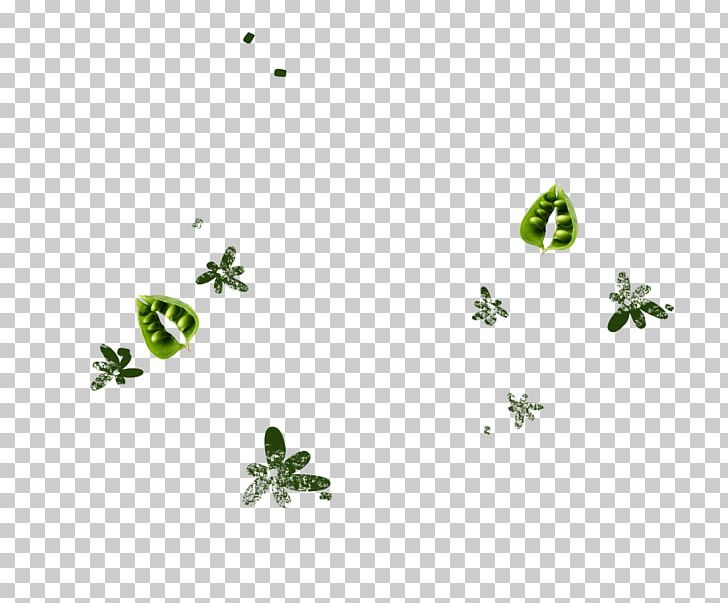 Plant Stem Leaf Body Jewellery Green Font PNG, Clipart, Animal, Bboy Vector Material, Body Jewellery, Body Jewelry, Branch Free PNG Download
