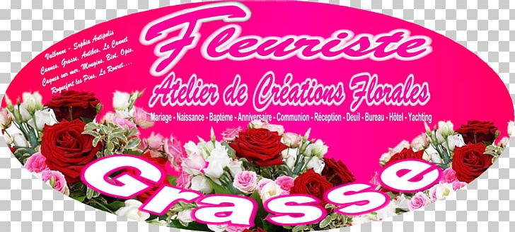 Garden Roses Fleuriste PNG, Clipart, Antibes, Ciprofloxacin, Cut Flowers, Floral Design, Florist Free PNG Download