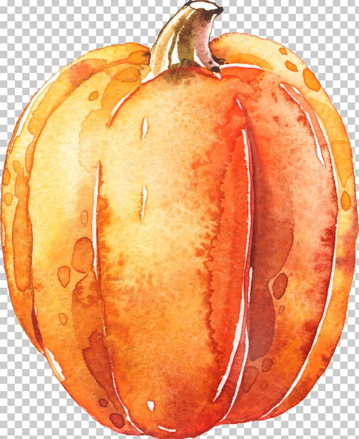 Pumpkin Calabaza Transparent Watercolor Halloween PNG, Clipart, Commodity, Cucurbita, Drawing, Fall, Food Free PNG Download