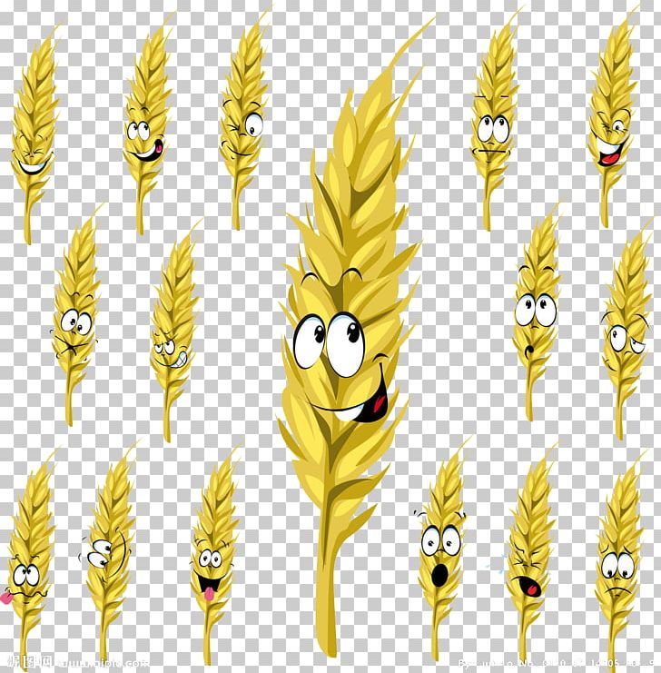 Wheat Cartoon Drawing Stock Illustration PNG, Clipart, Barley Material, Commodity, Ear, Explosion Effect Material, Flower Free PNG Download