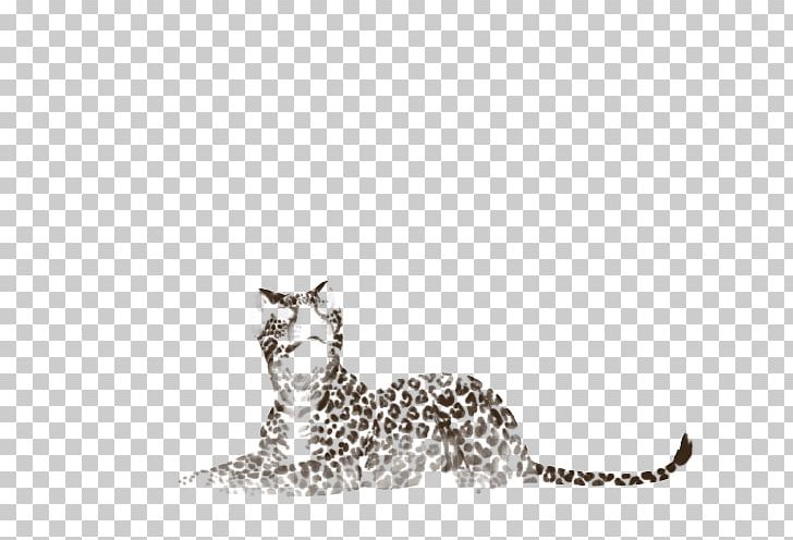 Whiskers Cat Puma Terrestrial Animal White PNG, Clipart, Animal, Animals, Big Cat, Big Cats, Black And White Free PNG Download