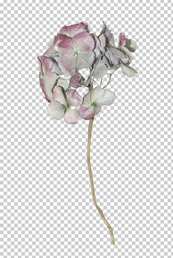 Cut Flowers Floral Design Artificial Flower Petal PNG, Clipart, Artificial Flower, Blogger, Christianity, Cut Flowers, Floral Design Free PNG Download