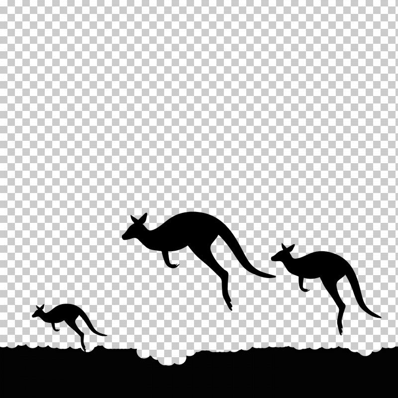 Kangaroo Macropods Mustang Dog Black & White / M PNG, Clipart, Black White M, Dog, Horse, Kangaroo, Macropods Free PNG Download