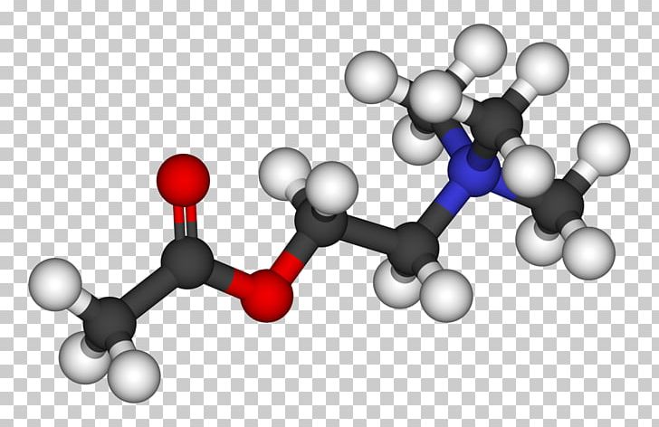 Acetylcholine Neurotransmitter Acetic Acid Methyl Acetate Receptor PNG, Clipart, 5ht Receptor, Acetic Acid, Acetylcholine, Acetyl Hexapeptide3, Chemical Compound Free PNG Download