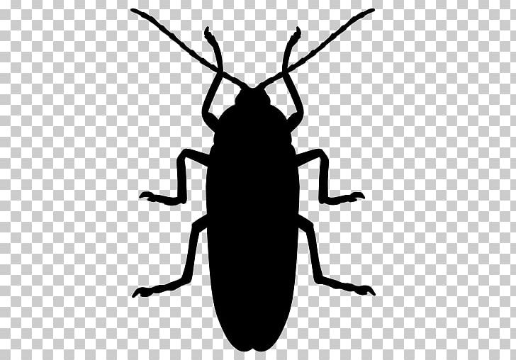 Cockroach Insect Silhouette Icon PNG, Clipart, Animal, Animals, Arthropod, Beetle, Black Free PNG Download