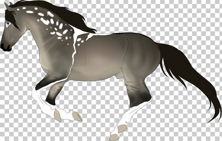 Mane Foal Stallion Pony Mare PNG, Clipart, Bridle, Character, Colt, English Riding, Equestrian Free PNG Download
