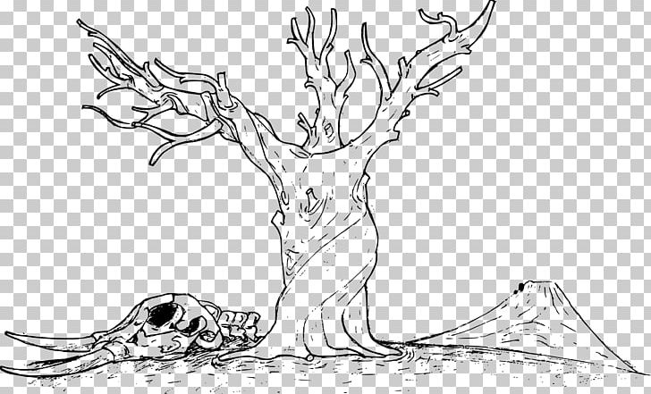 Tree Coloring Book Snag Branch PNG, Clipart, Antler, Art, Artwork, Bare, Black And White Free PNG Download