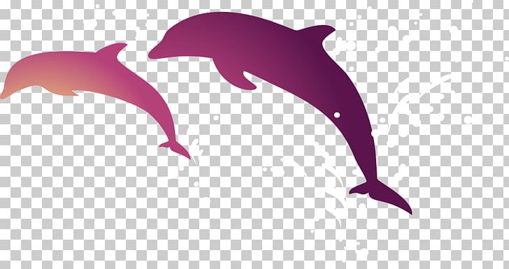 Tucuxi Short-beaked Common Dolphin Android PNG, Clipart, Android Application Package, Animals, App Store, Cartoon Dolphin, Cute Dolphin Free PNG Download