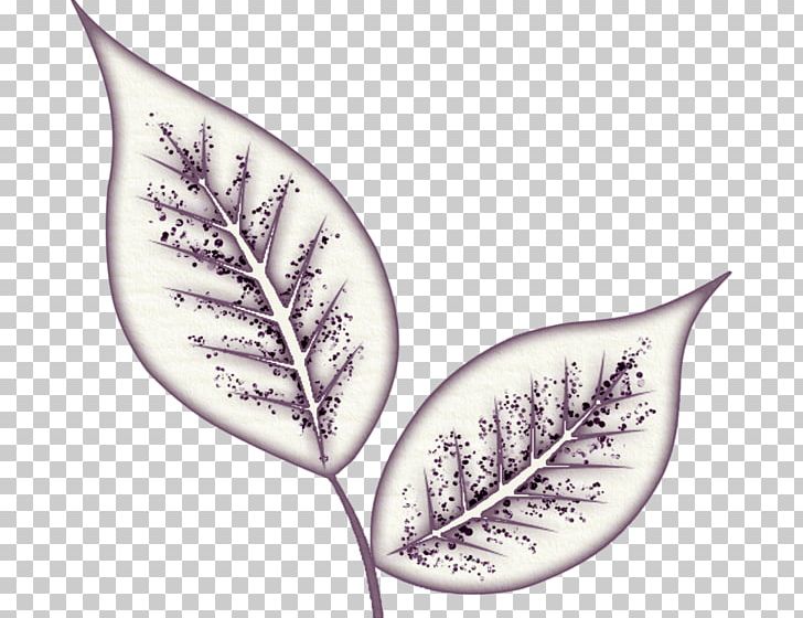 Leaf Deciduous Cartoon PNG, Clipart, Bisou, Branch, Cartoon, Deciduous, Dishware Free PNG Download