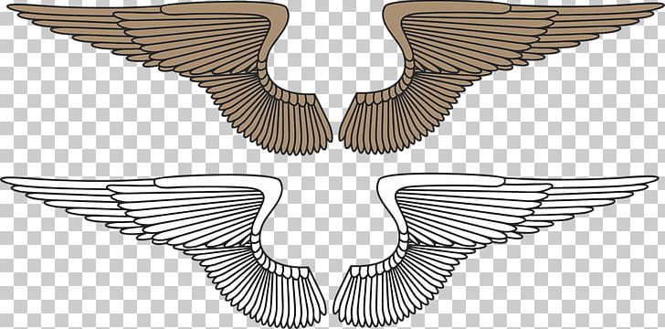 Wing Eagle PNG, Clipart, Angel Wing, Angel Wings, Angle, Animals, Beak Free PNG Download