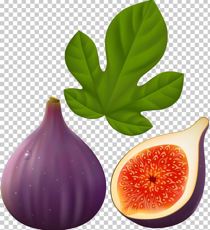 Common Fig Fruit Fig Leaf PNG, Clipart, Clip Art, Common Fig, Desktop Wallpaper, Diet Food, Drawing Free PNG Download