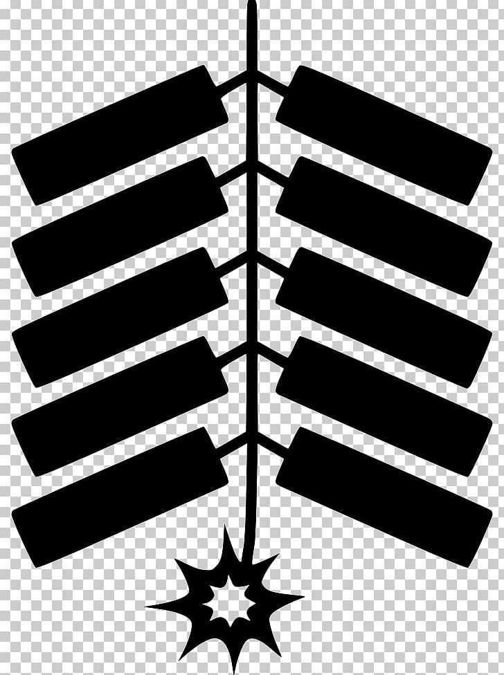 Fireworks Computer Icons Firecracker PNG, Clipart, Angle, Black And White, Computer Icons, Firecracker, Fireworks Free PNG Download