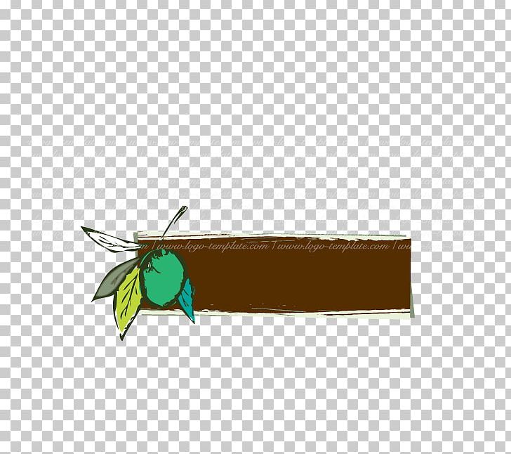 Insect Rectangle Membrane Brown PNG, Clipart, Animals, Brown, Butterfly, Fly, Insect Free PNG Download