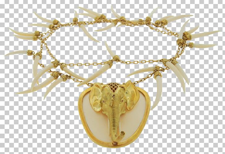 Jewellery PNG, Clipart, Bone, Elephant, Fashion Accessory, Jewellery, Miscellaneous Free PNG Download