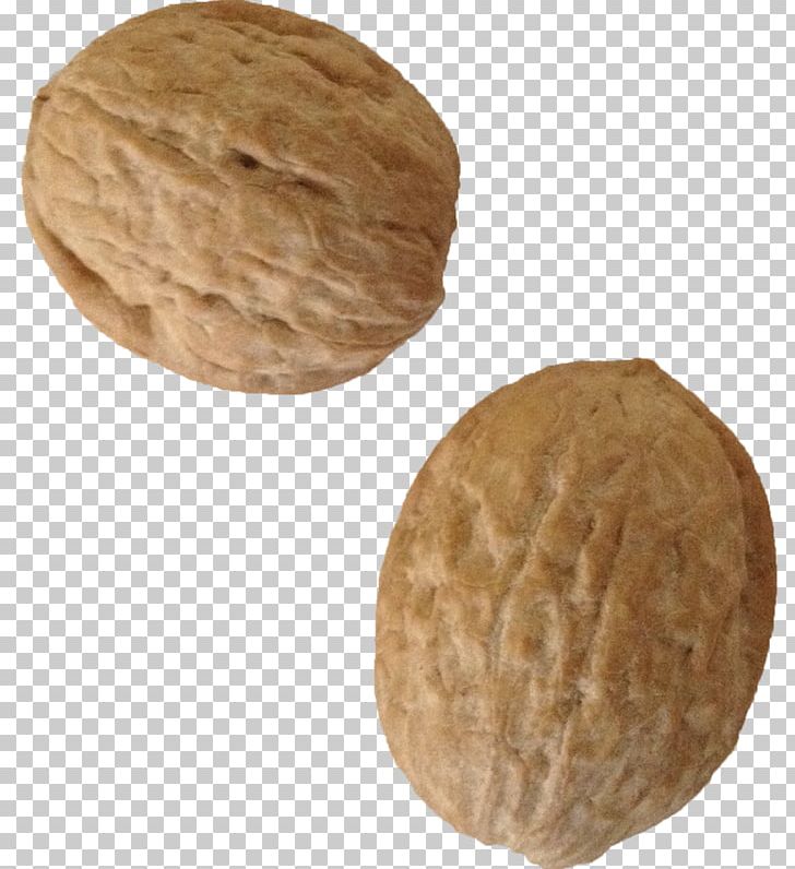 Walnut Computer Icons PhotoScape PNG, Clipart, Commodity, Computer Icons, Digital Image, Download, English Walnut Free PNG Download