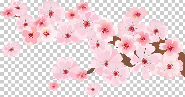 Watercolor Painting Illustration PNG, Clipart, Blossom, Cherry Blossom, Designer, Download, Floral Design Free PNG Download