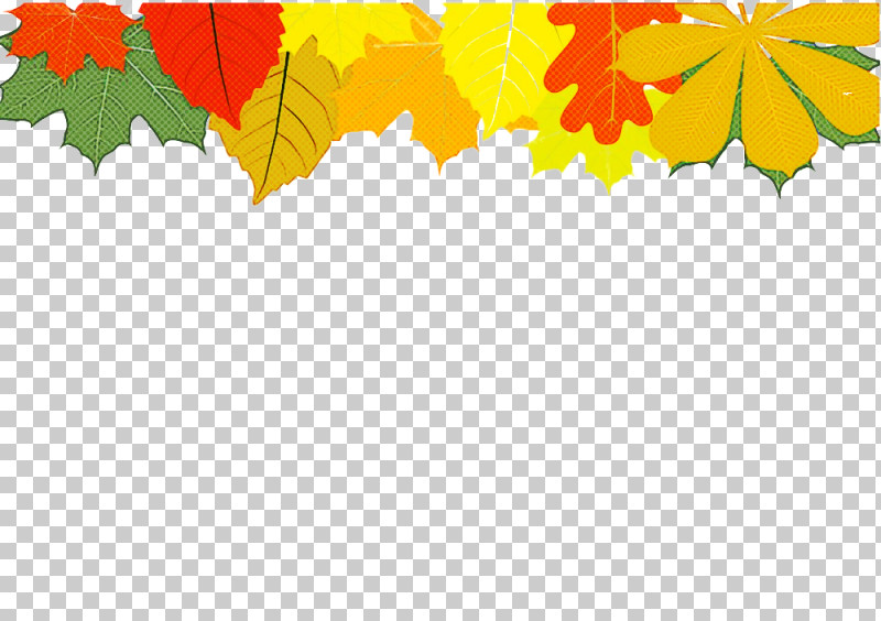 Maple Leaf PNG, Clipart, Autumn, Black Maple, Leaf, Maple Leaf, Plane Free PNG Download