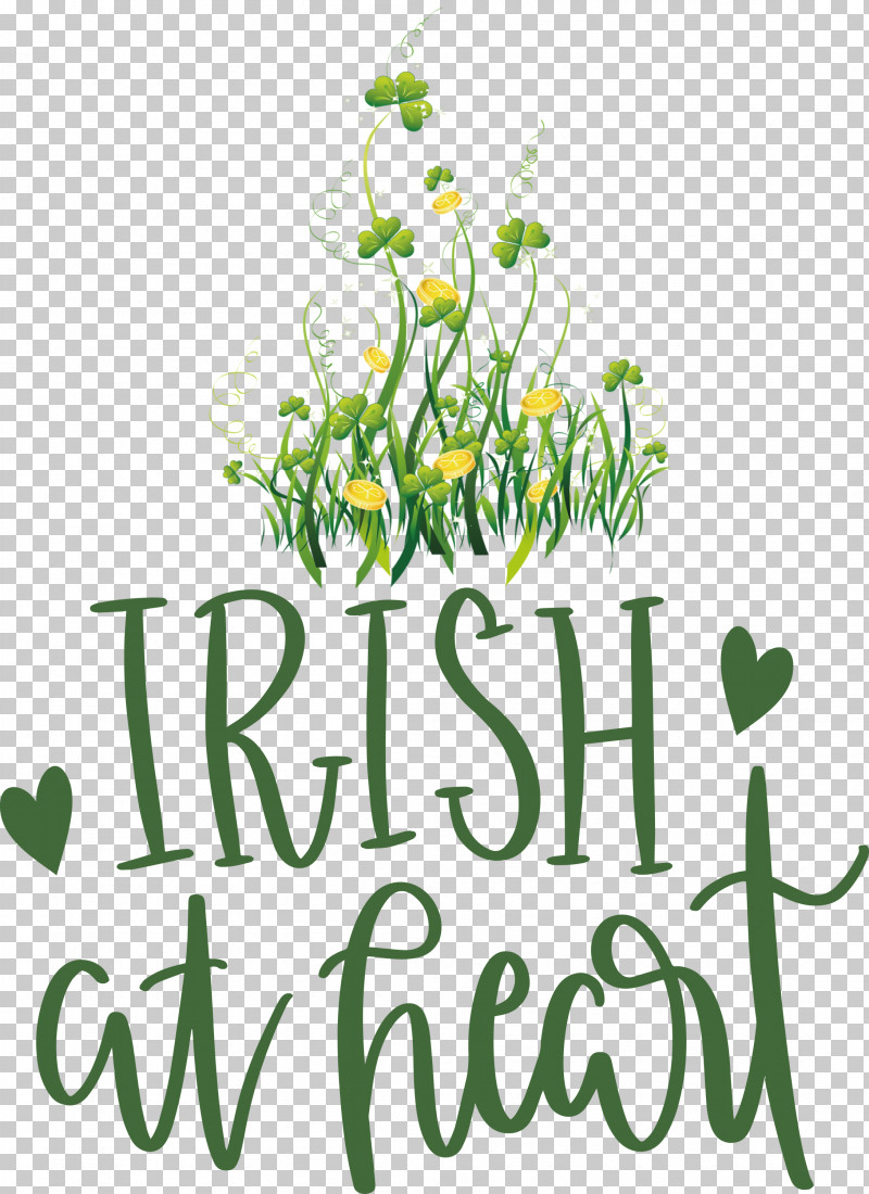 Shamrock Irish Saint Patrick PNG, Clipart, Cut Flowers, Flora, Floral Design, Flower, Happiness Free PNG Download