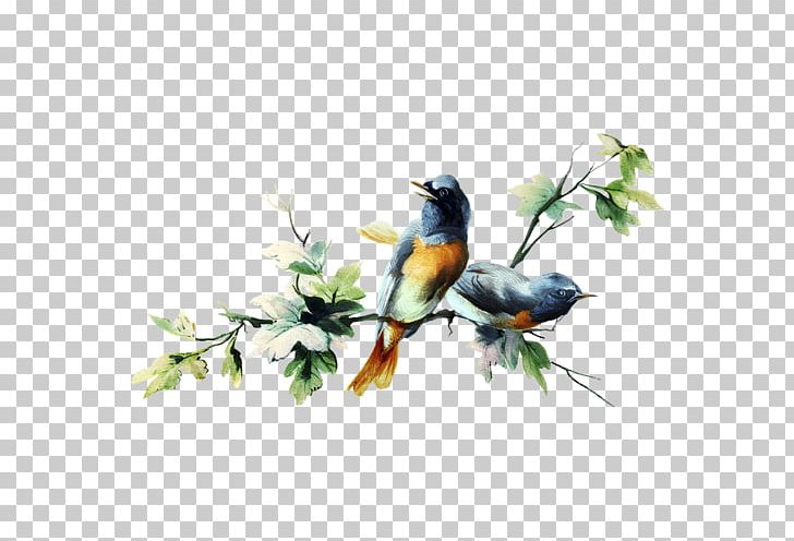 Chez Michel Day Sparrow Bird PNG, Clipart, Art, Beak, Bird, Bird And Flower, Bluebird Free PNG Download