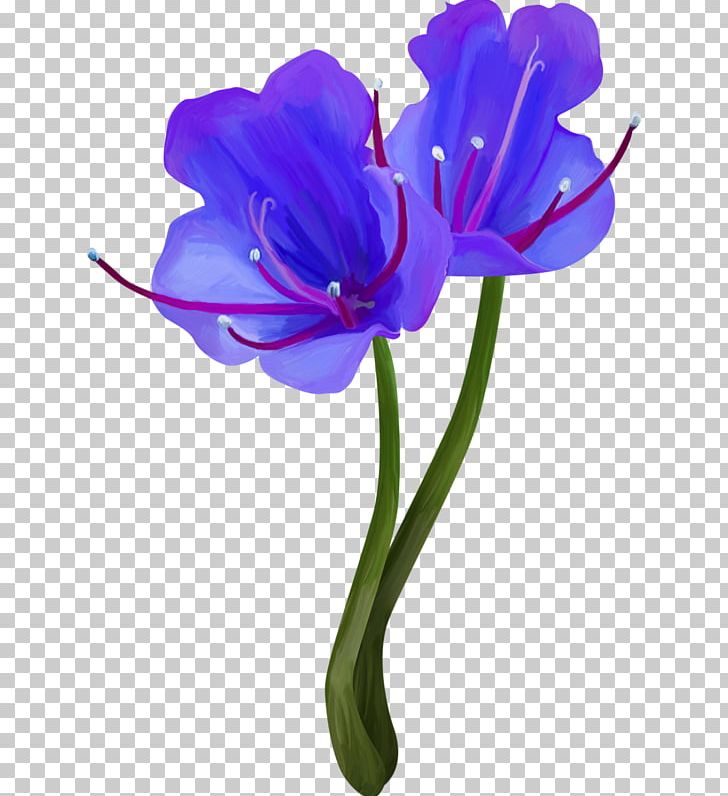 Cut Flowers Plant Stem Flower Bouquet PNG, Clipart, Chrysanthemum, Common Hibiscus, Crocus, Cut Flowers, Desktop Wallpaper Free PNG Download