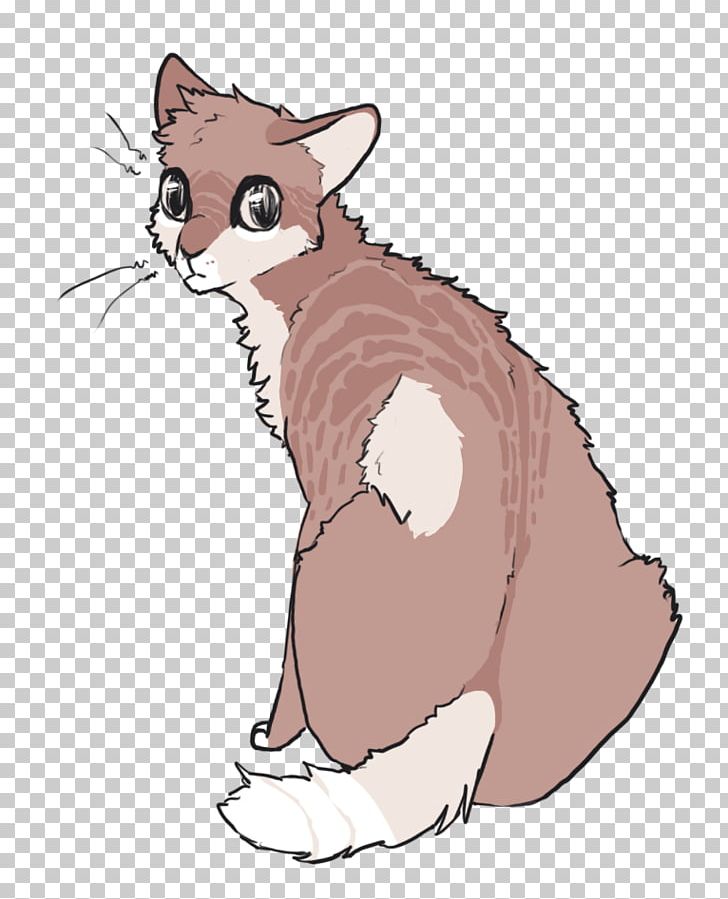 Whiskers Kitten Wildcat Red Fox PNG, Clipart, Animals, Canidae, Carnivoran, Cat, Cat Like Mammal Free PNG Download