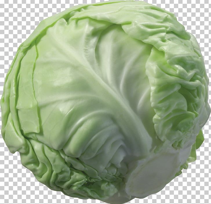 Cabbage Cauliflower Broccoli Vegetable PNG, Clipart, Brassica Oleracea, Broccoli, Cabbage, Cauliflower, Collard Greens Free PNG Download