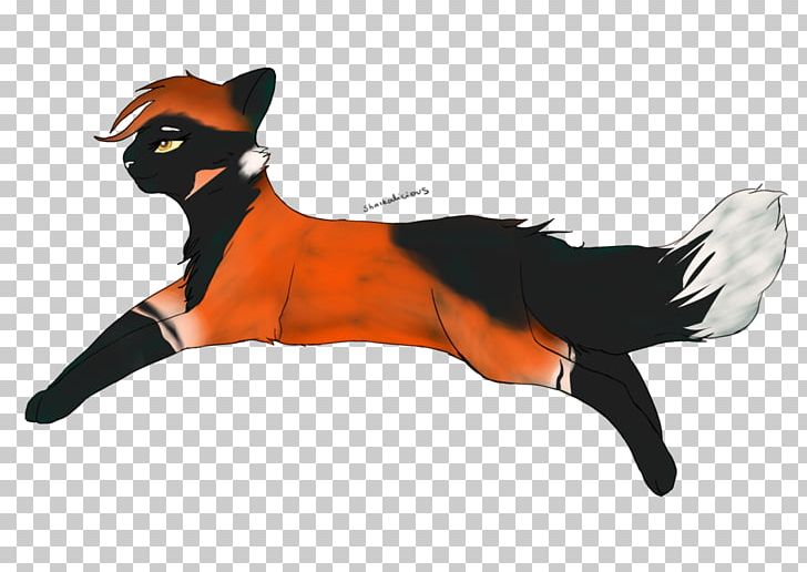 Whiskers Dog Red Fox Cat Fox News PNG, Clipart, Carnivoran, Cat, Cat Like Mammal, Dog, Dog Like Mammal Free PNG Download