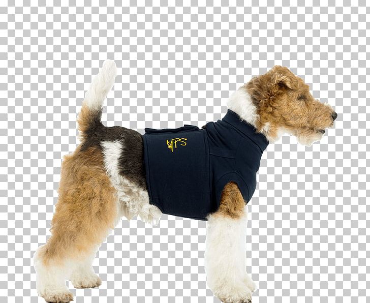 Wire Hair Fox Terrier T-shirt Cap Waistcoat PNG, Clipart, Bodysuit, Cap, Clothing, Collar, Companion Dog Free PNG Download