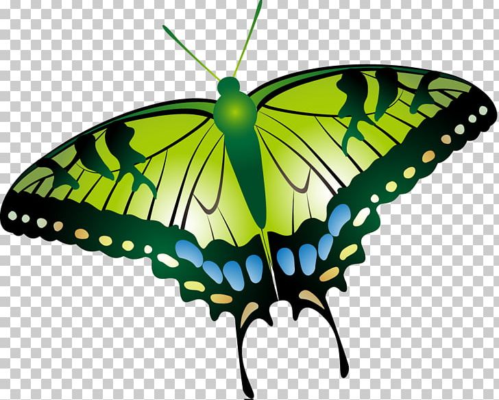 Butterfly Insect Moth PNG, Clipart, Arthropod, Brush Footed Butterfly, Butterflies And Moths, Butterfly, Encapsulated Postscript Free PNG Download