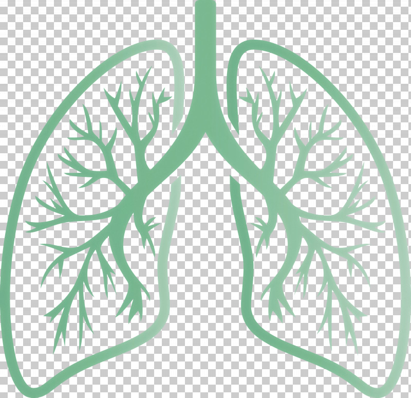 Lungs COVID Corona Virus Disease PNG, Clipart, Branch, Corona Virus Disease, Covid, Green, Leaf Free PNG Download