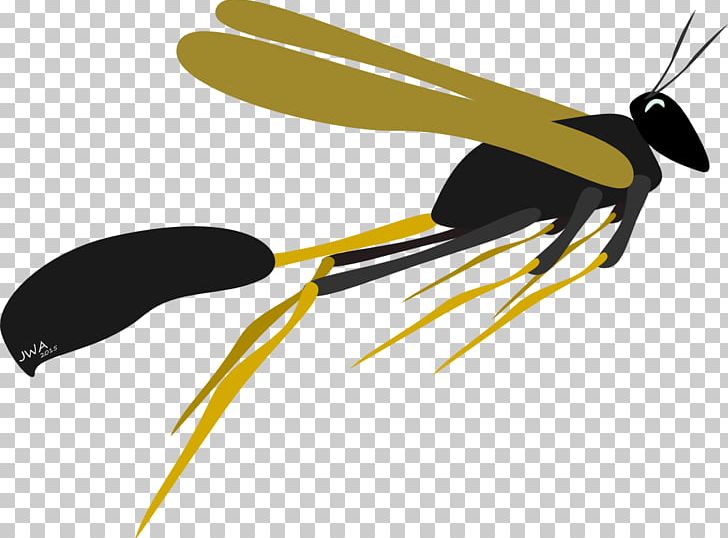 Insect Propeller PNG, Clipart, Animals, Fly, Insect, Invertebrate, Line Free PNG Download