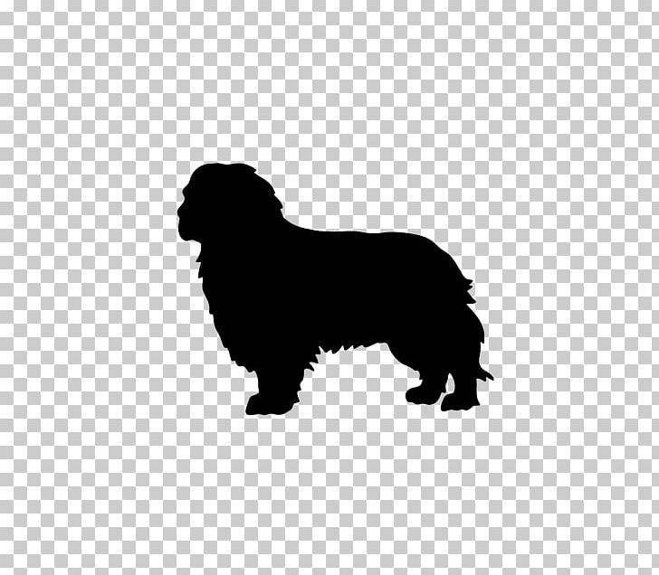 Newfoundland Dog Puppy Cavalier King Charles Spaniel Dog Breed PNG, Clipart, Black, Breed, Breed Group Dog, Carnivoran, Cavalier King Charles Spaniel Free PNG Download