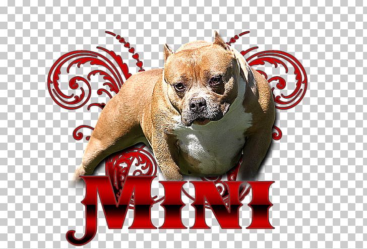 Puggle Puppy Love Dog Breed PNG, Clipart, American Bully, Breed, Carnivoran, Dog, Dog Breed Free PNG Download