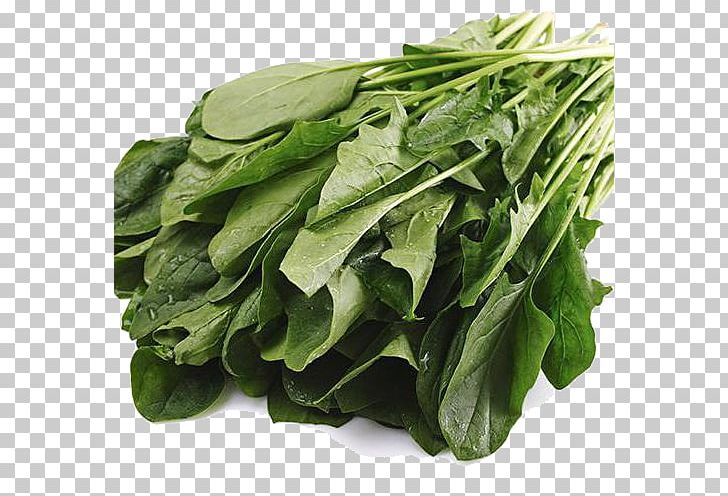 Spinach Organic Food Vegetable Carrot PNG, Clipart, Background Green, Broccoli, Chard, Choy Sum, Collard Greens Free PNG Download