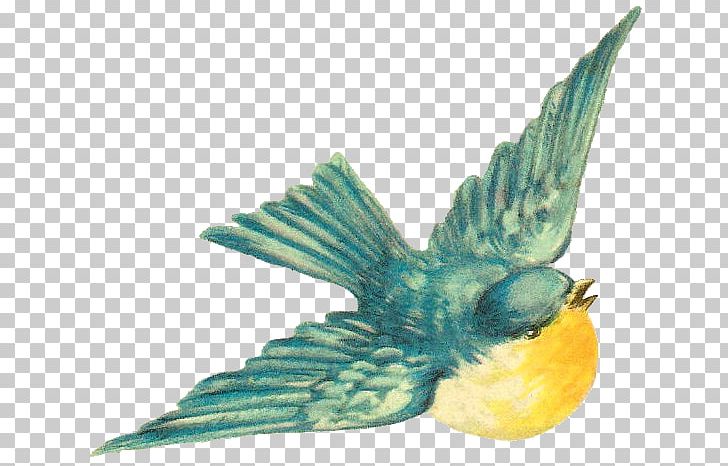 Bird Sparrow PNG, Clipart, Animals, Art, Beak, Bird, Bird Flight Free PNG Download