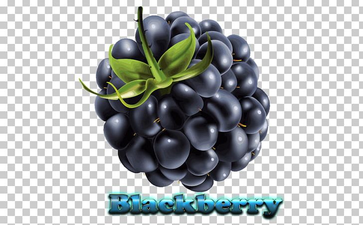 BlackBerry Priv BlackBerry KEYone BlackBerry Messenger PNG, Clipart, Amora, Auglis, Berry, Bilberry, Blackberry Free PNG Download