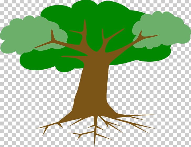 Graphics Root Tree PNG, Clipart, Branch, Cartoon, Cross Section, Drawing, Flower Free PNG Download