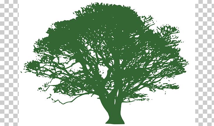 Tree Blue Oak PNG, Clipart, Blue, Branch, Computer Icons, Drawing, Free Content Free PNG Download