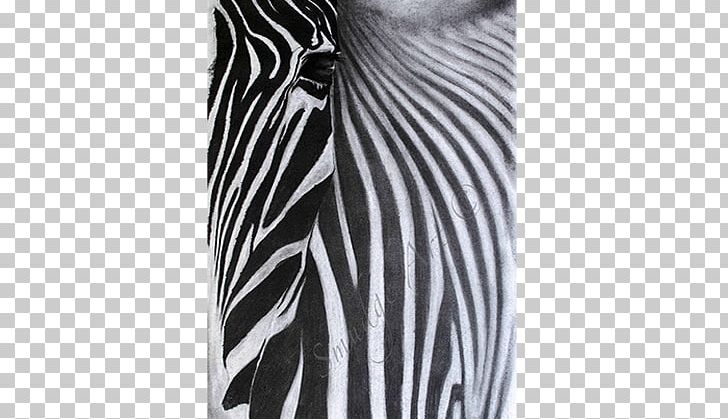 Zebra White Shoulder Sleeve PNG, Clipart, Black, Black And White, Mammal, Monochrome, Monochrome Photography Free PNG Download