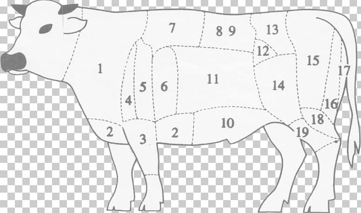 Dairy Cattle Horse Ox /m/02csf PNG, Clipart, Angle, Animal, Animal Figure, Animals, Area Free PNG Download