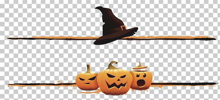 Halloween Boszorkxe1ny Jack-o-lantern Illustration PNG, Clipart, Bird, Boszorkxe1ny, Cartoon, Character, Character Image Free PNG Download