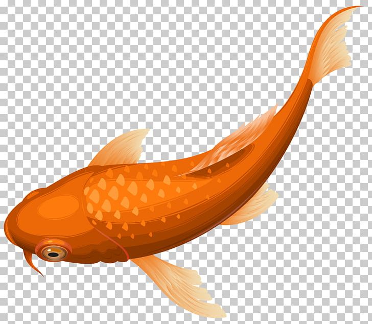 Koi Goldfish PNG, Clipart, Carp, Clip Art, Clipart, Common Carp, Drawing Free PNG Download